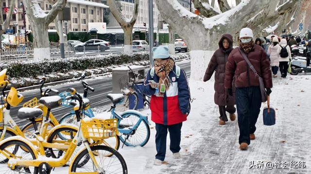 每日一景|大寒雪落金陵 明故宫梧桐披银 市民漫步享冬日诗意