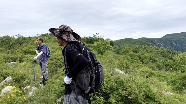 曼天垴，一座被遗忘的荒山
