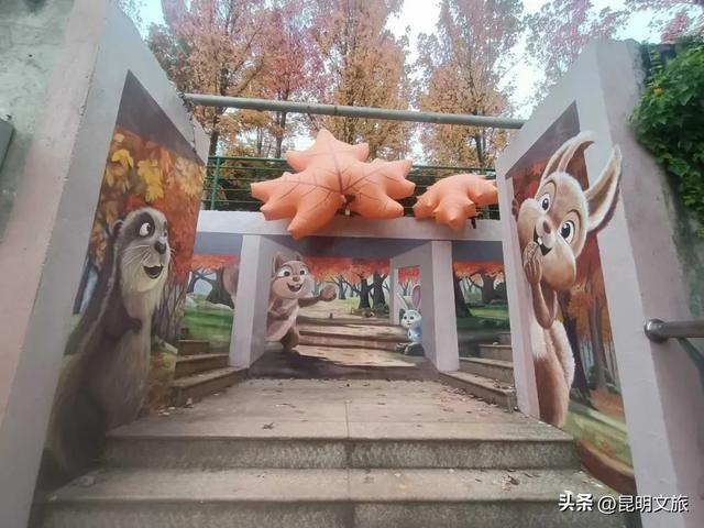 美上央媒!昆明红了!走走走,打卡最美枫景去,超全攻略速收藏→