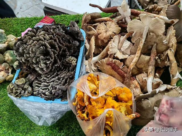 柴米油盐调味诗与远方，抚仙湖那一抹红