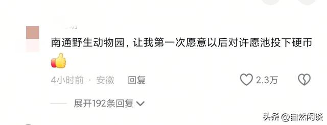 南通一动物园将许愿池里的硬币全部捞空,知道真相后网友们哭了