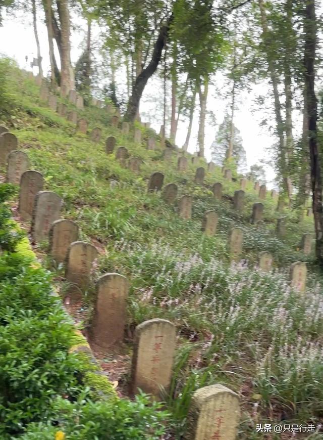 云南弥勒避暑旅游生活记录（二）腾冲