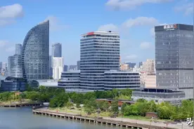 看！杨浦这五年，越来越“young”图片