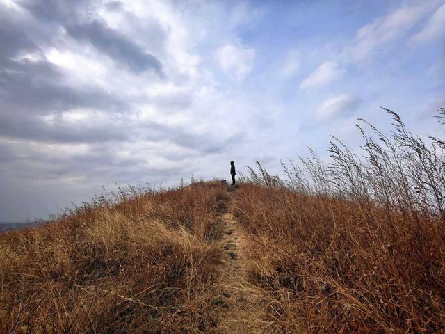 骑游六合平山赏早梅恋山山顶纵车飞