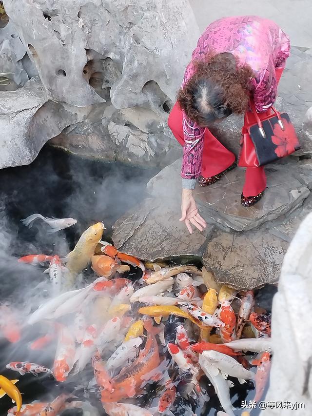 无意间发现了一座禅寺，竟然这么美