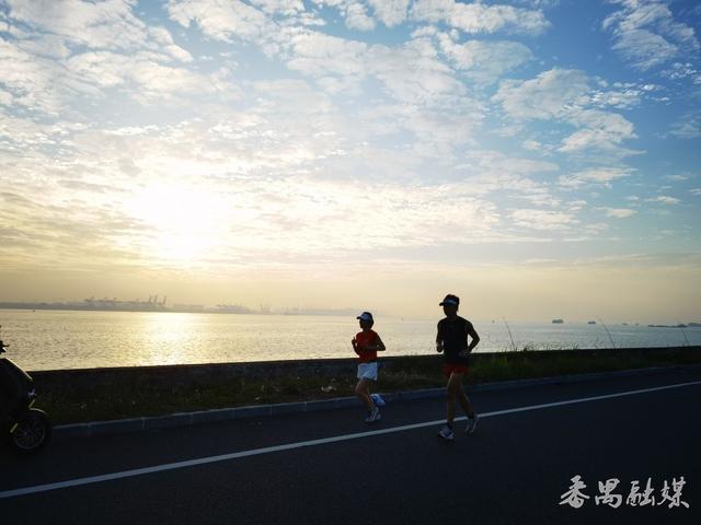 你知不知“稻”？番禺这片稻田美成了童话