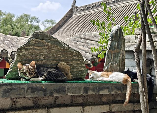 2025秋单骑摩旅青海记