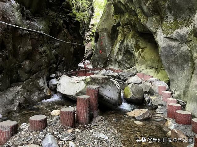 云端漫游，共赏黑河 | 提前解锁初秋的第一份美好