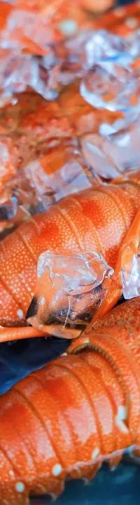 一“码”当“鲜”！丰泽区开渔文旅消费季启幕