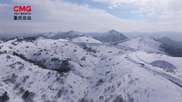日照金山、水墨画卷、雪林撞色！重庆冬日雪景，每一帧都想保存