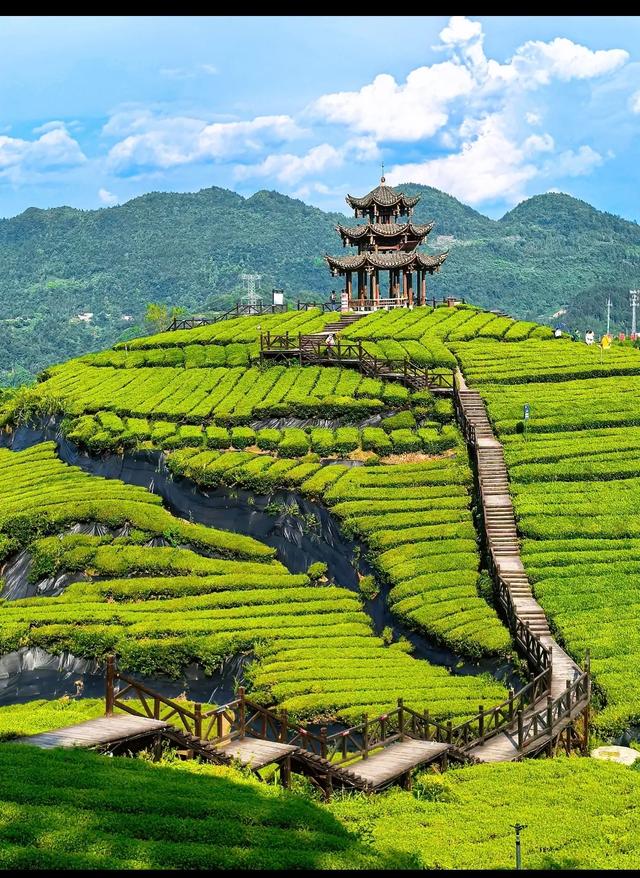 宣恩怎么玩？看这里就知道了。