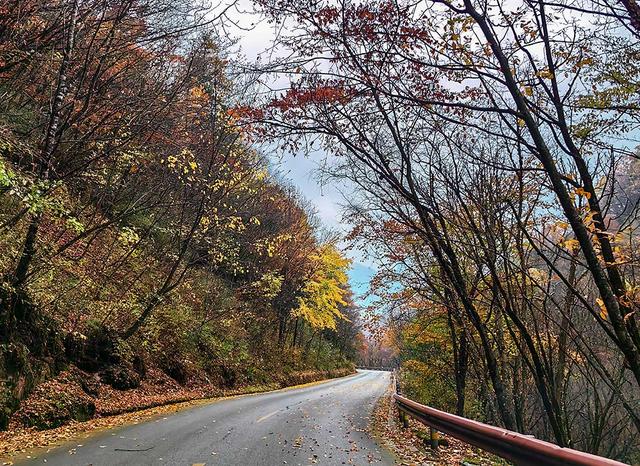 2024深秋四川行19 神农架风景区2 华中屋脊的五彩秘境