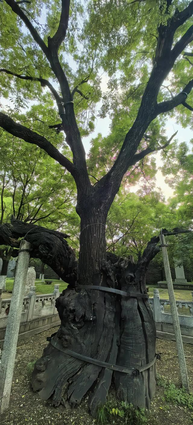 岱宗夫如何: 从前有座山