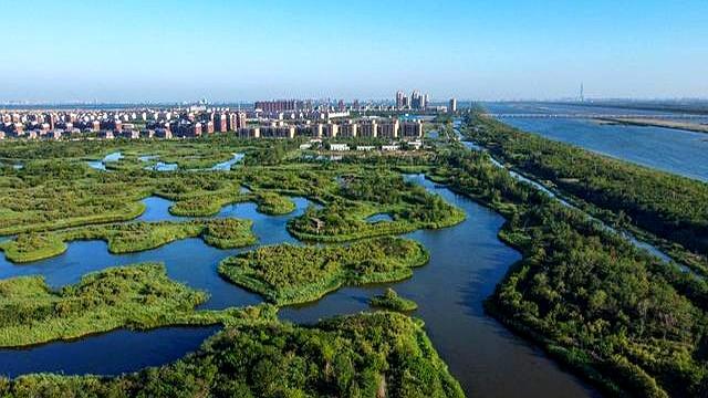 天津必去十大景点排行榜，这才是天津最值得去的10个景点，收好！