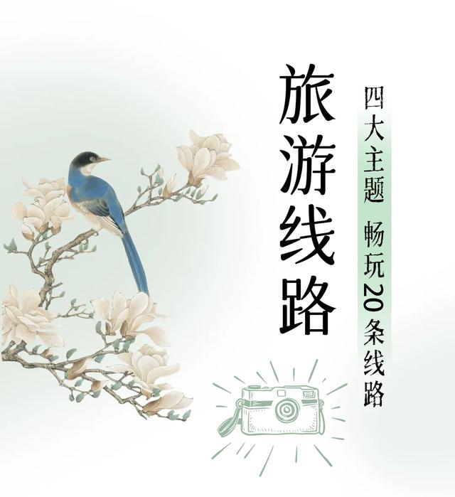 古树观鸟“宝藏图鉴”,带您指尖出发!解码年轮密码,捕捉飞鸟轨迹~ | 皖美夏日