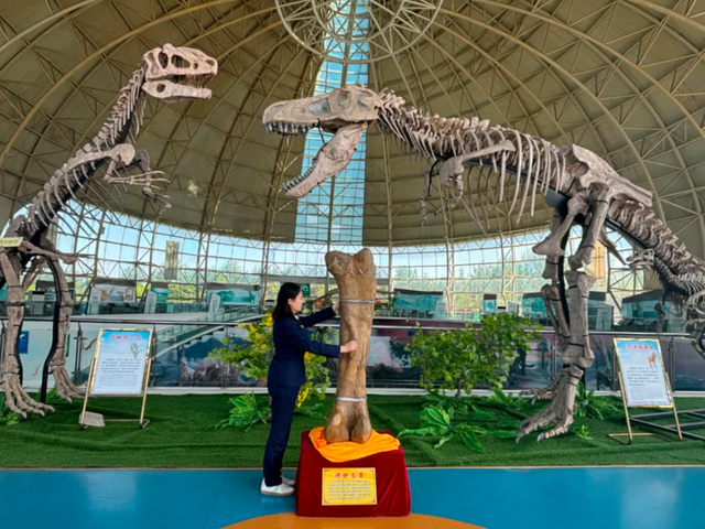 国家级榜单！潍坊这条路线上榜！