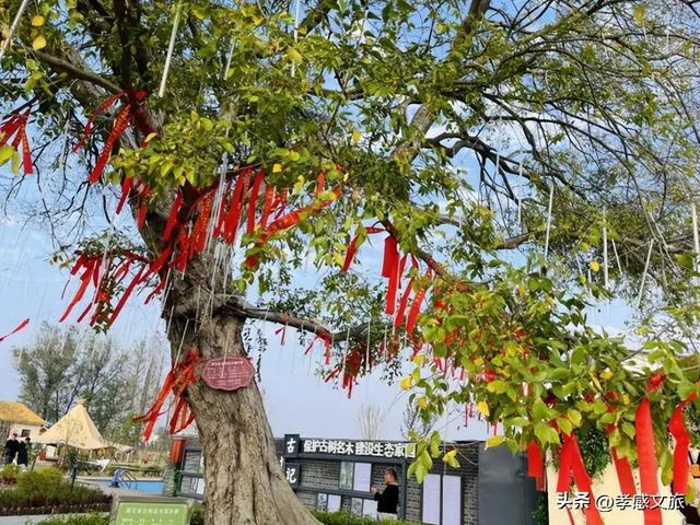 又发现孝感一处宝藏打卡地！周末赶紧冲~