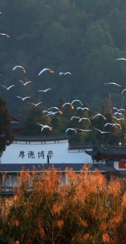 中秋国庆别宅啦！腾冲秋日限定快乐，速来“签收”！
