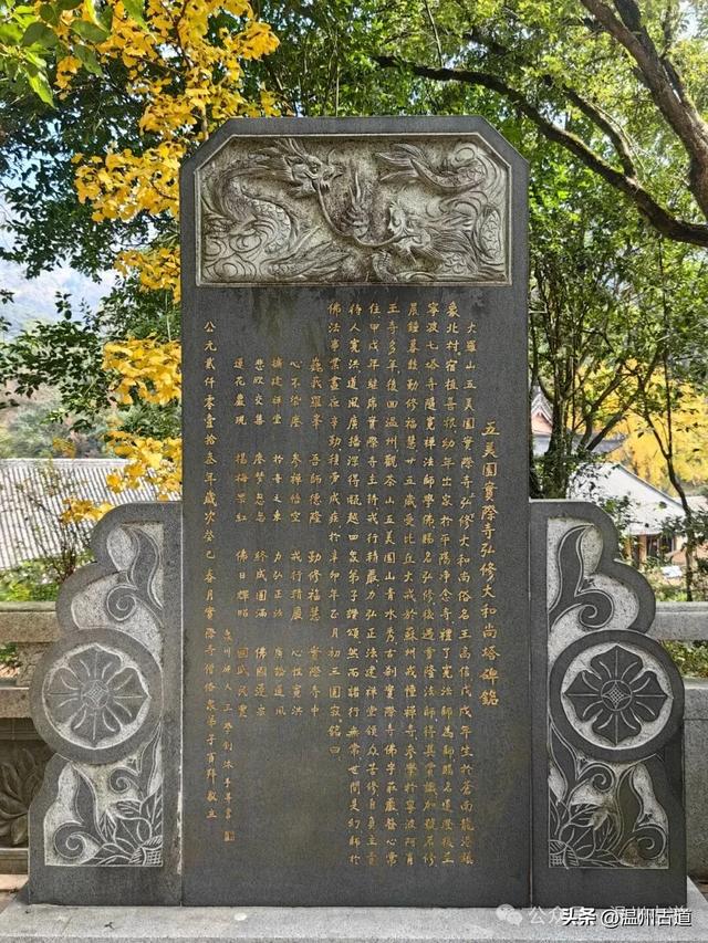 一树金黄，满城风雅！温州这棵著名的古寺银杏再不去就要落叶了