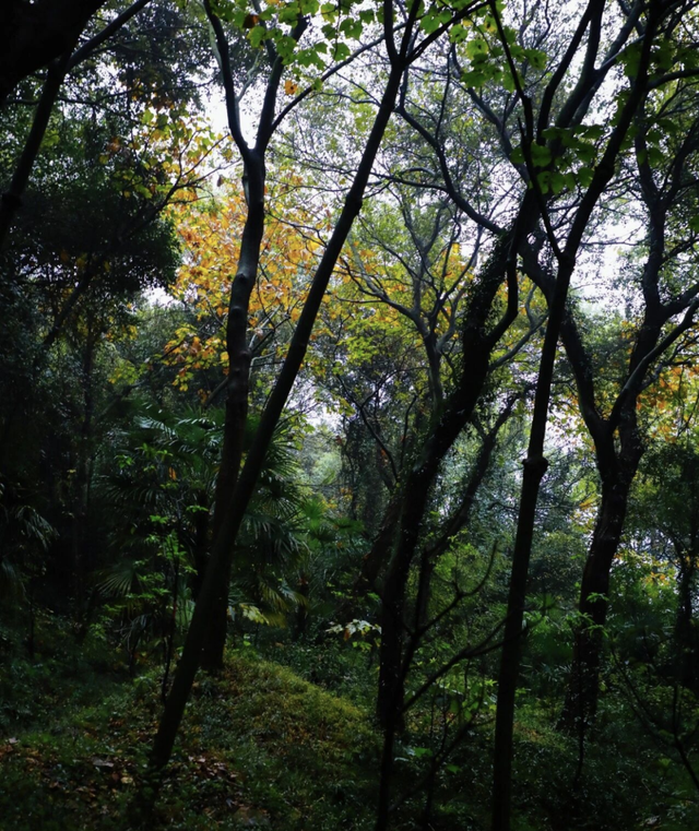 登高赏景！这些五彩山林秘境，等你来打卡