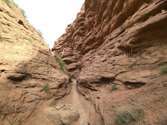 张掖平山湖大峡谷并无湖，却集丹霞雅丹峡谷地貌于一身，难得好景