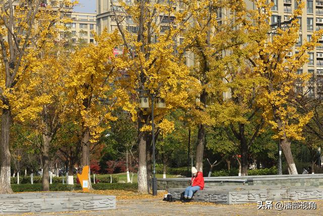 无锡吴都路，金色的世界