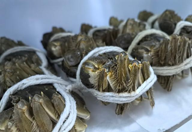 保存大闸蟹时，最忌直接放冰箱，大厨：教你一招，放10天都鲜活