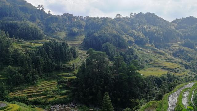 柳州周边小众景点（元宝村、小桑村、青山寨、培秀村、冬竹山）