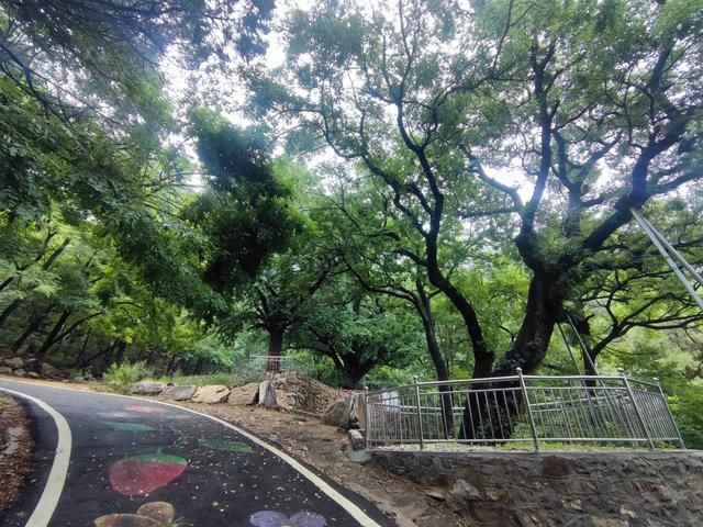 莱芜大舟院，曾经的繁华归于一片宁静中