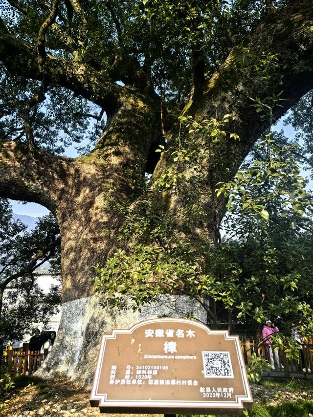 皖南初见（二）