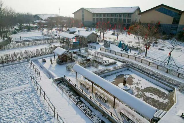 雪后的盐都，每一帧都是壁纸