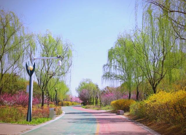 洛宁滨河公园：生态画卷里的休闲港湾