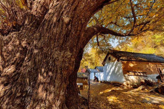 世界上只有中国泸州才有的全球独一无二的10大奇景！