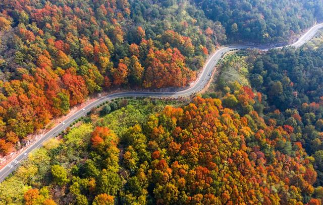 红了！红了！你最想和谁一起去？