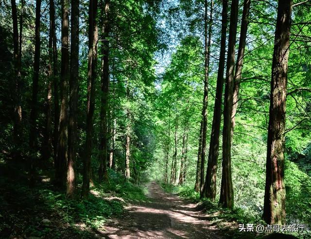 成都被低估的清凉胜地，徒步超舒服，大自然凉风阵阵，不要门票。