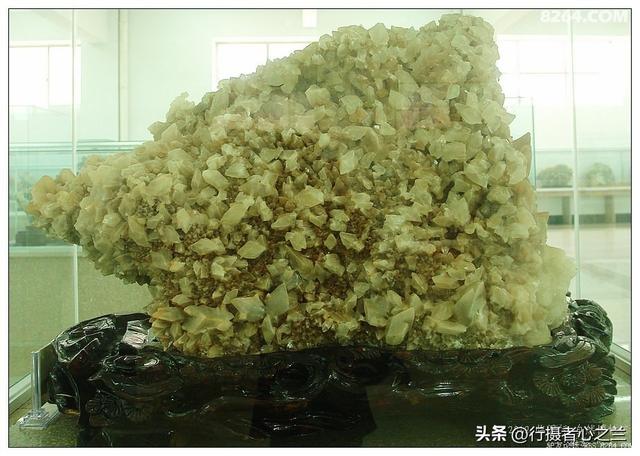 山东行游影记（31）—平邑天宇自然博物馆（六）