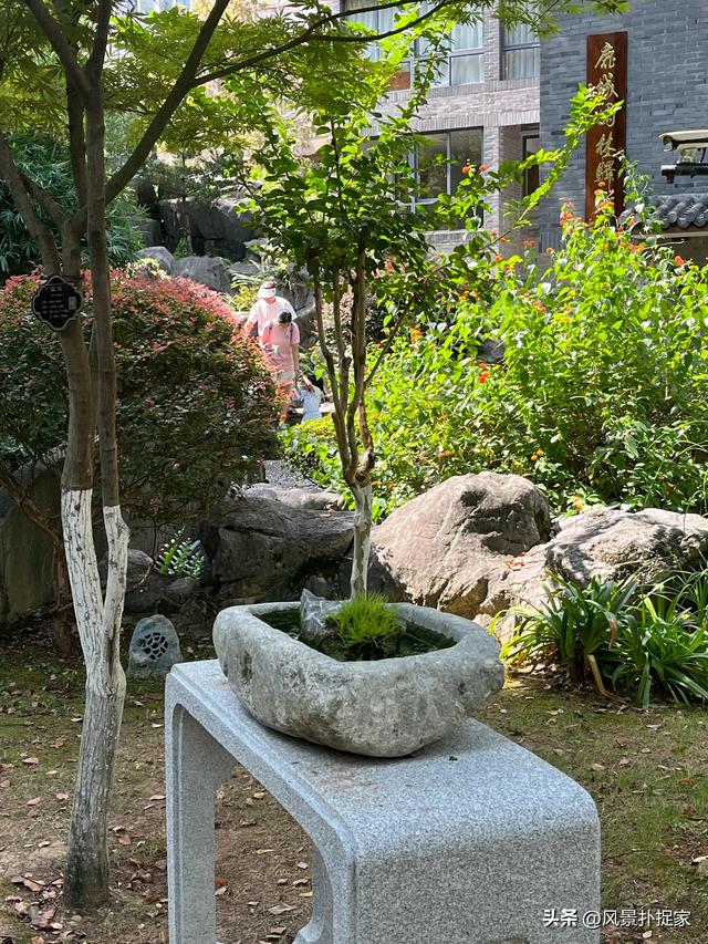 温州墨池公园，超好逛！