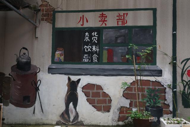 贵阳巷里走丨市东巷：老城墙边的时光故事