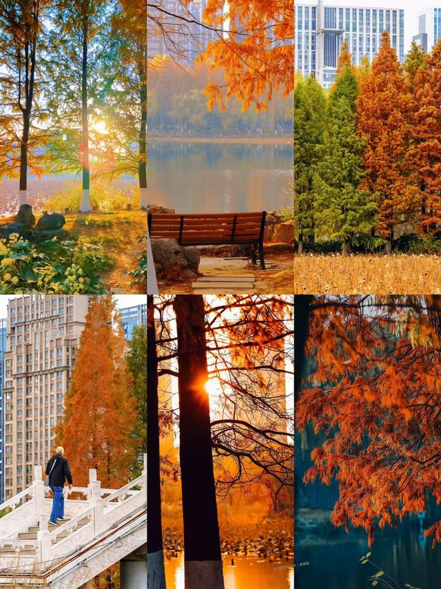 原来真的有城市，可以一天24小时都快乐~（2）