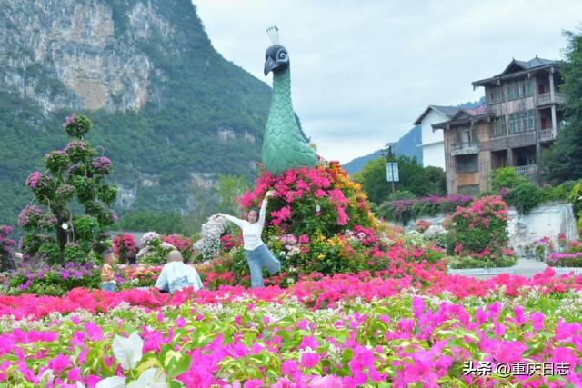酉阳国庆文旅市场火爆“出圈”，多元场景开启全域旅游新篇章