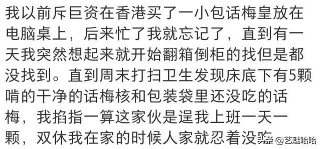 有没有被宠物智商震惊过？网友：那一刻显得我情商还没它高