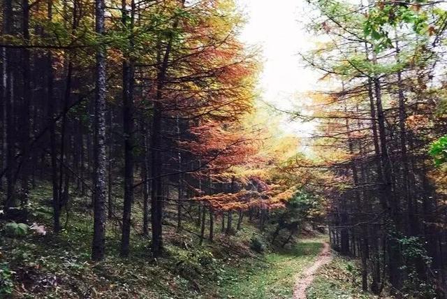 藏不住了！嘉陵镇这份治愈系美景，承包你所有的诗和远方～