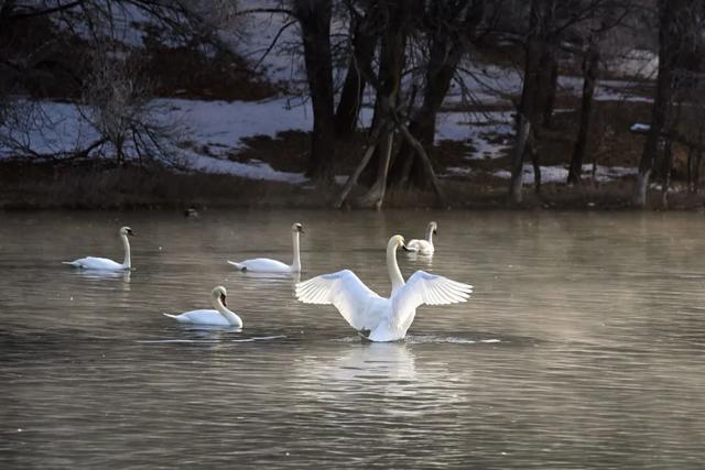 如要选一个冬季最佳拍雪景的地方,首选一定是它
