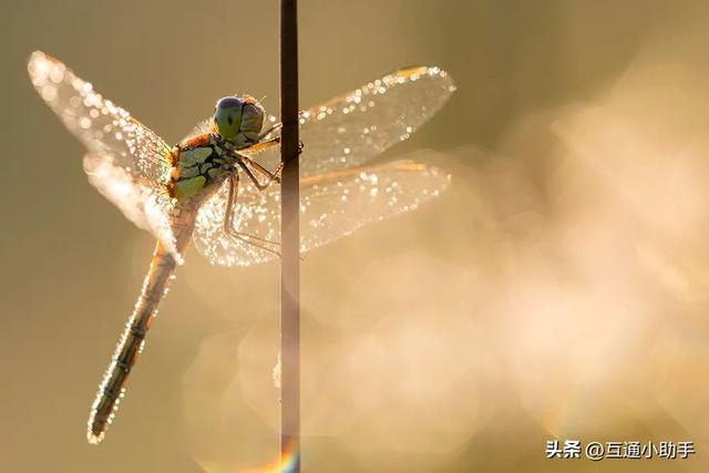 摄影中如何保留高光细节，实现完美曝光，建议看看这篇内容！