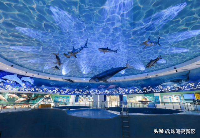 坐船去珠海高新区更惬意！凭船票住酒店立减200元