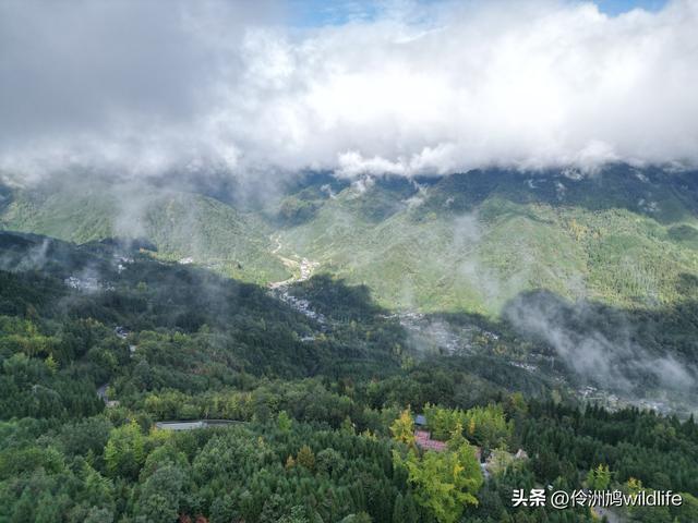四川行(73)什邡红枫岭徒步到钟鼎寺