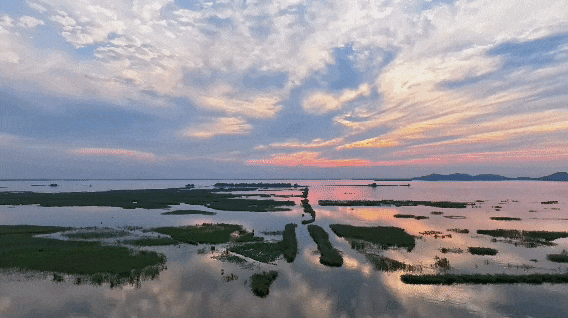 解锁「美拉德」色系！东平的秋天是懂氛围感的，朋友圈晒这些图绝对赢麻！