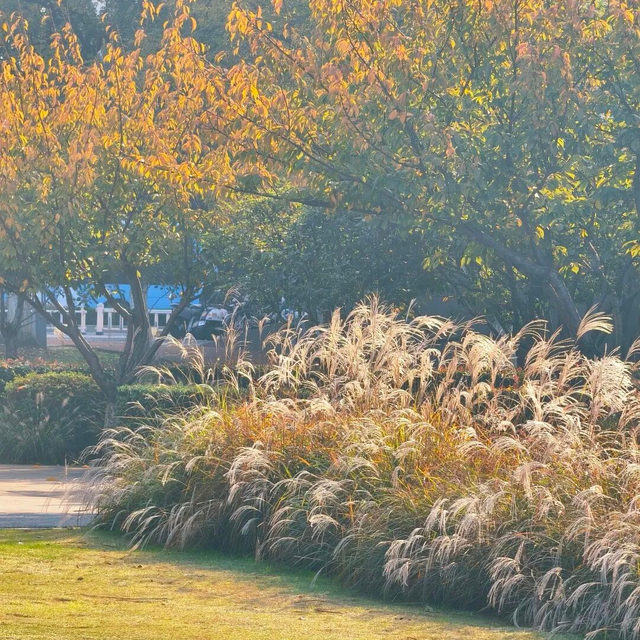 逛起来！8小时10个公园！