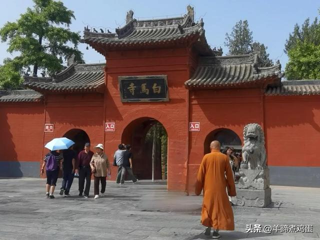 做几天洛阳人——游河南洛阳赏牡丹芬芳 总体概述(四)