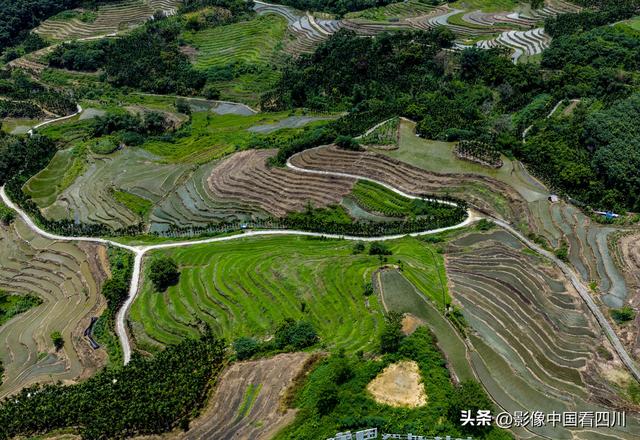 海南五指山：夏日牙胡梯田